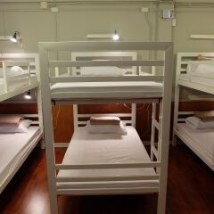 Petit Hostel детские мероприятия фото 2