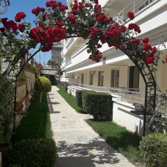 Club Aegean Турция, Дидим - отзывы, цены и фото номеров - забронировать отель Club Aegean онлайн