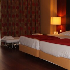 Отель Lezíria Parque Hotel Португалия, Вила-Франка-де-Ксира - отзывы, цены и фото номеров - забронировать отель Lezíria Parque Hotel онлайн комната для гостей фото 4