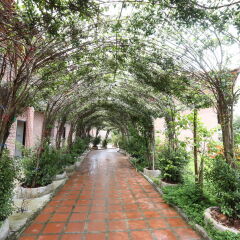 Отель Countryside Garden Resort & Bar фото 13