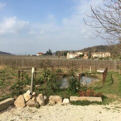 Отель Agriturismo Podere Villa Alessi Италия, Региональный парк Colli Euganei - отзывы, цены и фото номеров - забронировать отель Agriturismo Podere Villa Alessi онлайн