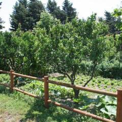 Отель Azienda Agrituristica Vivi Natura Италия, Помпеи - отзывы, цены и фото номеров - забронировать отель Azienda Agrituristica Vivi Natura онлайн фото 16