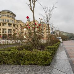 Апартаменты Sweet Inn Apartments Godecharles Брюссель городской автобус
