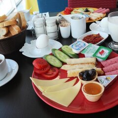 Helenapolis Otel Турция, Ташкёпрю - отзывы, цены и фото номеров - забронировать отель Helenapolis Otel онлайн питание