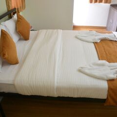 Отель Betelnut Inn Mrkt by SPLENOR Индия, Северный Гоа - отзывы, цены и фото номеров - забронировать отель Betelnut Inn Mrkt by SPLENOR онлайн комната для гостей фото 3