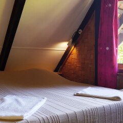 Отель Linareva Moorea Beach Resort Французская Полинезия, Муреа - отзывы, цены и фото номеров - забронировать отель Linareva Moorea Beach Resort онлайн фото 12