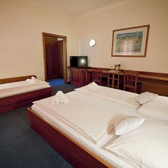 Hotel Bajt Maribor in Maribor, Slovenia from 151$, photos, reviews - zenhotels.com guestroom photo 2