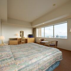 Отель Grand Hotel New Oji Япония, Томакомай - отзывы, цены и фото номеров - забронировать отель Grand Hotel New Oji онлайн комната для гостей фото 3