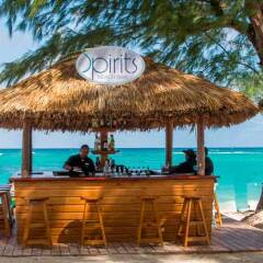 Отель Presidential Suites Punta Cana - All Inclusive фото 6