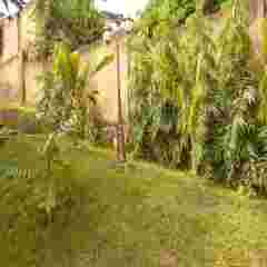 Отель Aparthotel Jardin Tropical фото 3
