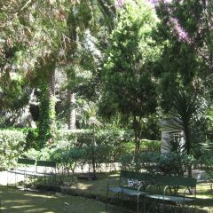 Отель Grand Hotel Villa Politi Италия, Сиракуза - 1 отзыв об отеле, цены и фото номеров - забронировать отель Grand Hotel Villa Politi онлайн фото 7