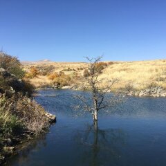 Отель Grand Resort Jermuk Армения, Джермук - 2 отзыва об отеле, цены и фото номеров - забронировать отель Grand Resort Jermuk онлайн приотельная территория