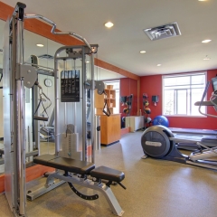 Отель Hilton Garden Inn Calgary Airport Канада, Калгари - отзывы, цены и фото номеров - забронировать отель Hilton Garden Inn Calgary Airport онлайн фитнесс-зал фото 2