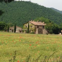 Отель Agriturismo Cardito Италия, Читтадукале - отзывы, цены и фото номеров - забронировать отель Agriturismo Cardito онлайн фото 11