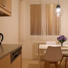 Отель AK apartman Praha 6 Чехия, Прага - отзывы, цены и фото номеров - забронировать отель AK apartman Praha 6 онлайн фото 18