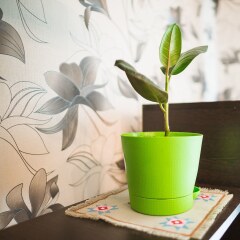 Апартаменты Apartment on Spasskaya 1bldg2 гостиничный бар