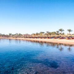 Отель Jaz Makadi Saraya Palms (ex Iberotel) пляж фото 2