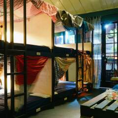 LeuLeu Hostel 2 Далат гостиничный бар