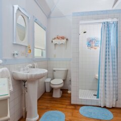 Blossom Village Cottage (Villa) in Booby Pond Nature Reserve, Cayman Islands from 571$, photos, reviews - zenhotels.com bathroom