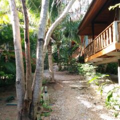 Отель Koh Tao Beachside Resort Таиланд, Остров Тау - отзывы, цены и фото номеров - забронировать отель Koh Tao Beachside Resort онлайн приотельная территория