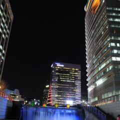 Отель New Seoul Сеул бассейн