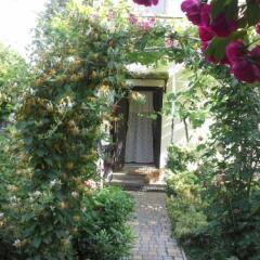 Гостиница Guesthouse Marta Украина, Одесса - отзывы, цены и фото номеров - забронировать гостиницу Guesthouse Marta онлайн фото 7