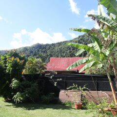 Отель Marama Lodge Tahiti Французская Полинезия, Пунаауиа - отзывы, цены и фото номеров - забронировать отель Marama Lodge Tahiti онлайн фото 4