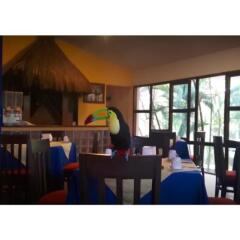 Отель Comfort Inn Palenque Maya Tucán гостиничный бар