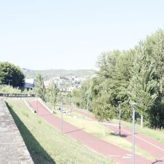 Отель Casa do Salgueiral Douro спортивное сооружение