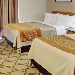 Отель Comfort Inn Ottawa East Канада, Оттава - отзывы, цены и фото номеров - забронировать отель Comfort Inn Ottawa East онлайн комната для гостей фото 5