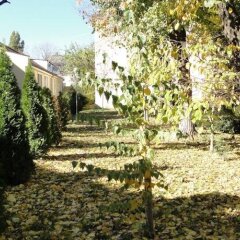 Гостиница Адмирал Украина, Одесса - 8 отзывов об отеле, цены и фото номеров - забронировать гостиницу Адмирал онлайн фото 9