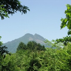 Отель Sanso Sharanoki Хидзи фото 7