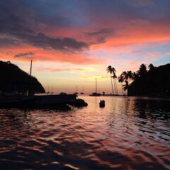 Marigot Palms Luxury Caribbean Guesthouse and Apartment Suites in Marisule, St. Lucia from 189$, photos, reviews - zenhotels.com pool