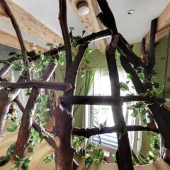 Отель Pension & Hostel Artharmony Чехия, Прага - 8 отзывов об отеле, цены и фото номеров - забронировать отель Pension & Hostel Artharmony онлайн спортивное сооружение
