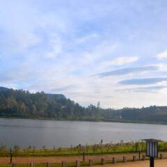 Tea Bush Hotel - Nuwara Eliya фото 2