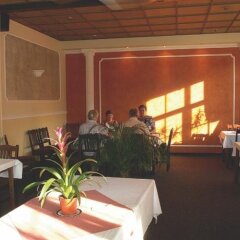 Отель Restaurant Pension L-club Глубока-над-Влтавой питание
