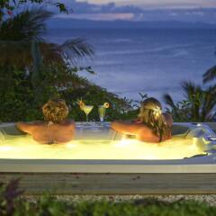 Отель Taveuni Palms Фиджи, Остров Тавеуни - отзывы, цены и фото номеров - забронировать отель Taveuni Palms онлайн