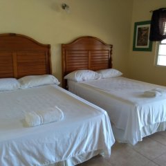Mill House Guesthouse in Nevis, St. Kitts and Nevis from 157$, photos, reviews - zenhotels.com guestroom photo 5