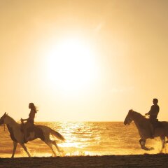 Отель Secrets Royal Beach Punta Cana Доминикана, Пунта Кана - отзывы, цены и фото номеров - забронировать отель Secrets Royal Beach Punta Cana онлайн фитнесс-зал фото 4