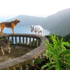 Mahogany Ridge in Arouca, Trinidad and Tobago from 154$, photos, reviews - zenhotels.com outdoors