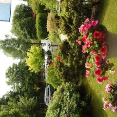 Отель Windsor Guest House Канада, Ванкувер - отзывы, цены и фото номеров - забронировать отель Windsor Guest House онлайн фото 2
