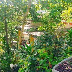 Отель Greenery Resort Koh Tao фото 20
