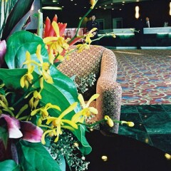 Отель Executive Hotel & Conference Center, Burnaby Канада, Бурнаби - отзывы, цены и фото номеров - забронировать отель Executive Hotel & Conference Center, Burnaby онлайн развлечения