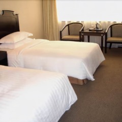 Отель Hong Thien 1 Hotel Вьетнам, Хюэ - отзывы, цены и фото номеров - забронировать отель Hong Thien 1 Hotel онлайн комната для гостей фото 3