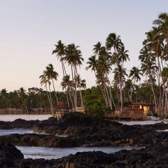 Отель Return to Paradise Resort and Spa Самоа, Уполу - отзывы, цены и фото номеров - забронировать отель Return to Paradise Resort and Spa онлайн фото 8