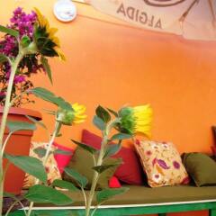 NightCap Hostel детские мероприятия