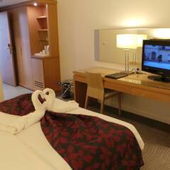Отель Amman Airport Hotel Иордания, Аль-Джиза - отзывы, цены и фото номеров - забронировать отель Amman Airport Hotel онлайн удобства в номере фото 2