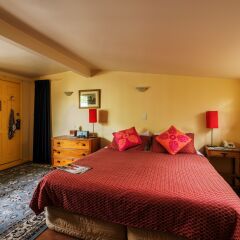 Отель The Great Ponsonby ArtHotel Новая Зеландия, Окленд - отзывы, цены и фото номеров - забронировать отель The Great Ponsonby ArtHotel онлайн комната для гостей фото 5