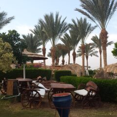 Отель Palma Resort фото 5