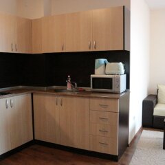 Апартаменты Pirin Palace White Apartments в номере фото 2